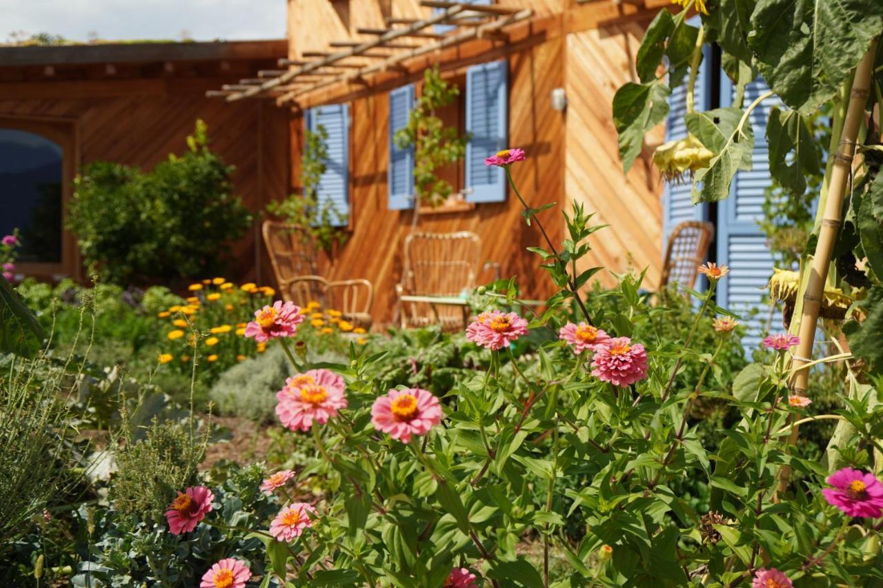 Casa Viva Bed and Breakfast Marciaga Exteriör bild